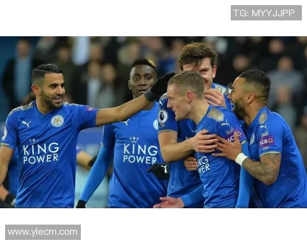 南安普顿与莱切斯特城精彩对决集锦回顾与分析